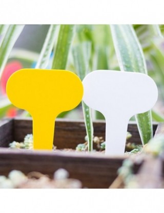 100 sztuk plastikowe...