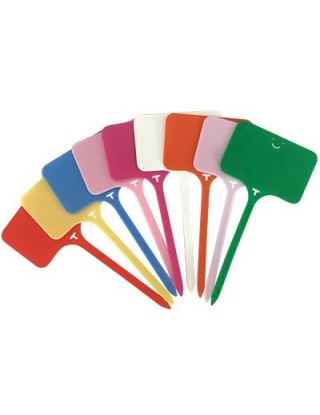 100 szt. Ogród t-type Plant...