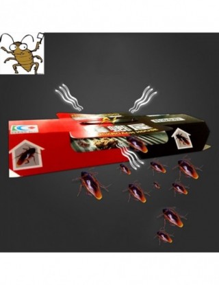 10 sztuk karaluch dom...