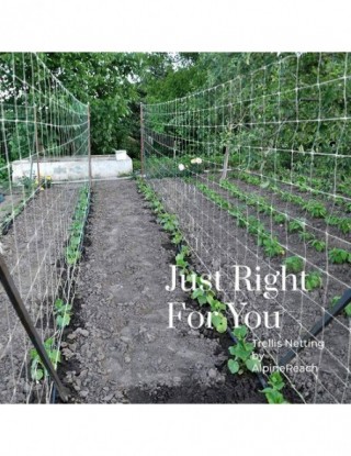 Plant Trellis siatki...