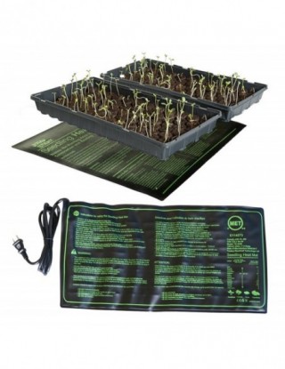 Sadzonka mata grzewcza...