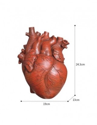 Kreatywny wazon anatomiczny...