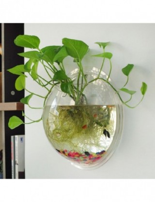 Terrarium Ball Globe Shape...