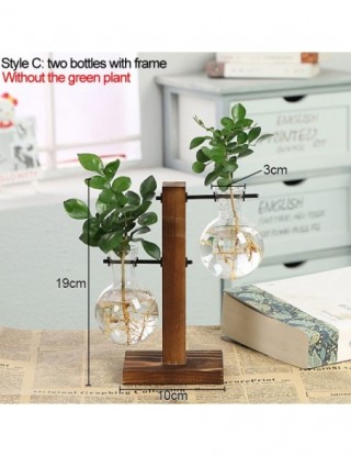 Terrarium roślina...