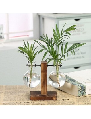 Terrarium Vasevase...