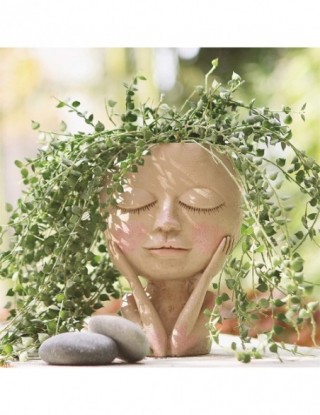 Doniczka charakter ludzka...