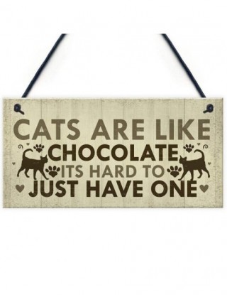 Słodkie zwierzątko nadruk...