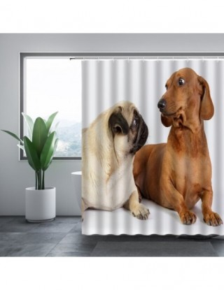 Zmywalny zasłona...