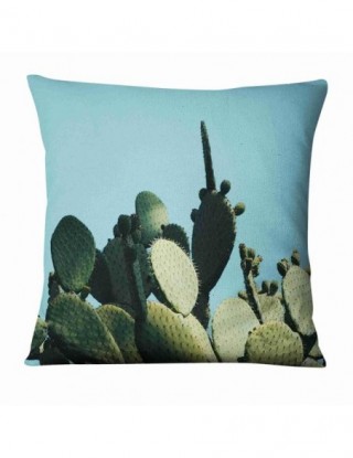 Tropical kaktus roślin...