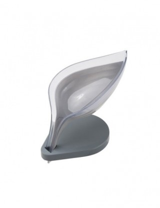 Kształt liścia mydelniczka...