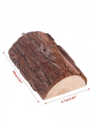 Papuga pet bird hamster...