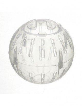 Zwierzęta gryzonie myszy...