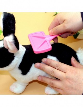 Królik akcesoria do kąpieli...