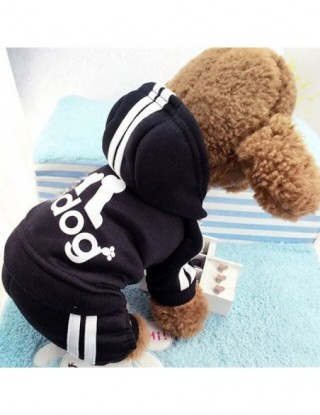 Ubrania dla małych psów...