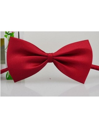 1 sztuka regulowany pies...