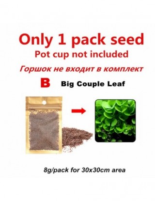 Szklane akwarium trawa...