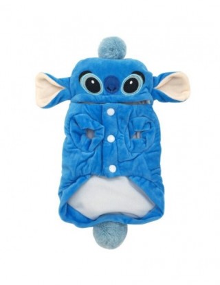 Zimowy ciepły kot domowy...