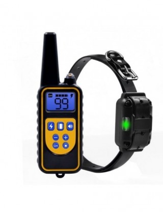 800m cyfrowy kołnierz...