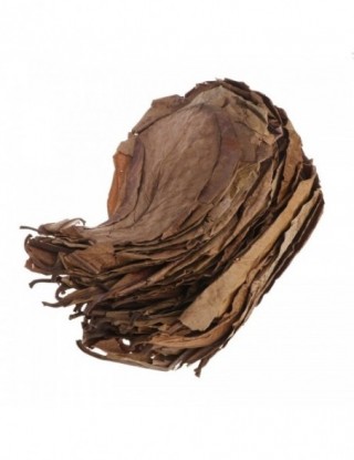 50 sztuk naturalne liście...