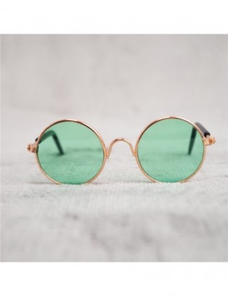 Kot domowy okulary piękne...