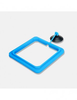 Karmienia ryb w akwarium...