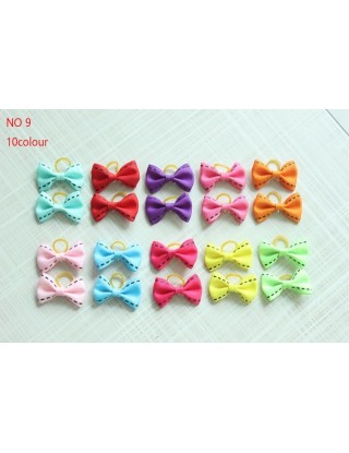 10 sztuk szczeniak kot...