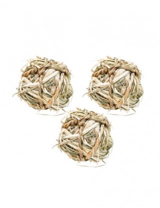 Chomik królik gryzak gryzak...