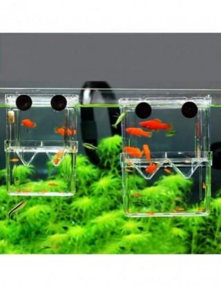 8*7*11cm dwupokładowe jasne...