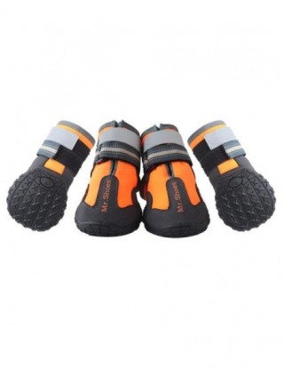 Buty dla psa dla sportu...