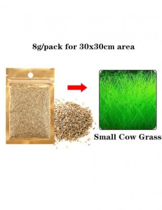 Akwarium roślina wodna woda...