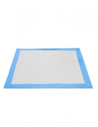 Super chłonne zwierzę...