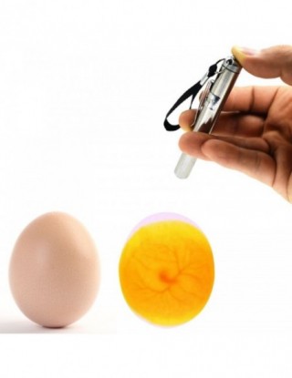 Inkubator Eggtester jajko...