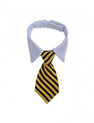 2020 pies kot w paski...