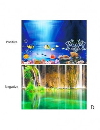 Krajobraz akwarium plakat...