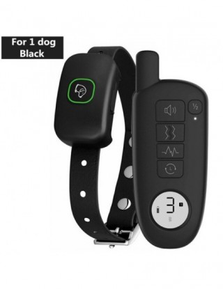 1000ft zakres szkolenia...