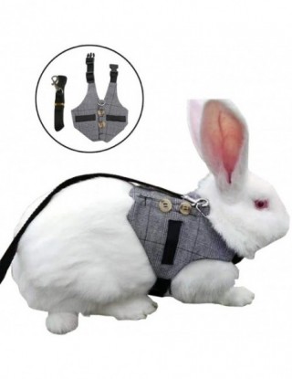 Szelki dla małych zwierząt...