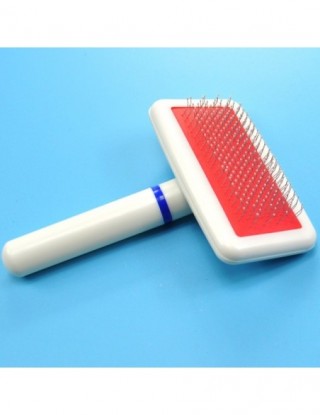 Zwierzęta domowe są igły...