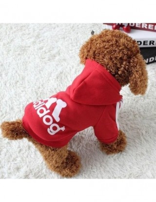 Ubranka dla zwierząt buldog...