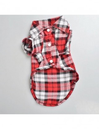 Moda kaftaniki dla zwierząt...