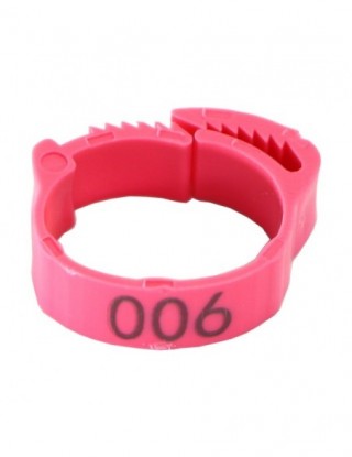 20 sztuk kurczaka stóp...