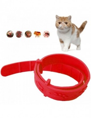 Gorąca sprzedaż kot przeciw...