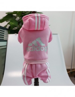 Ubranka dla zwierząt buldog...