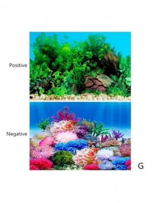 Krajobraz akwarium plakat...