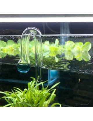 Akwarium CO2 rozproszone...